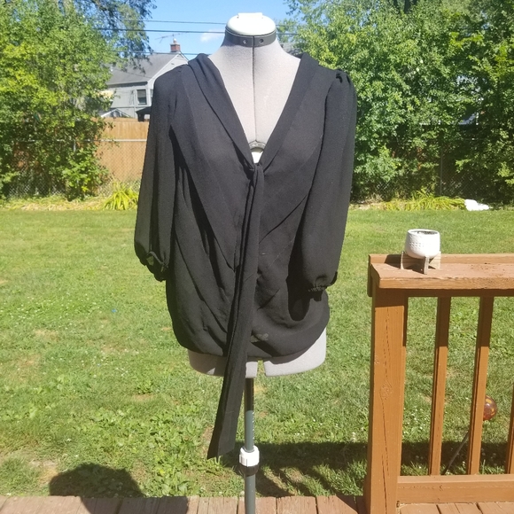 Sheer Designer Top - Picture 3 of 3